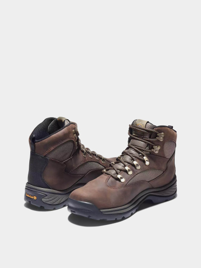 Черевики Timberland Chocorua Waterproof Mid Hiker модель TB115130210 — фото - INTERTOP