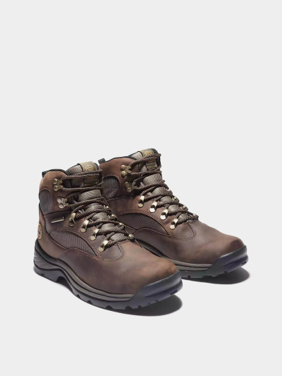 Черевики Timberland Chocorua Waterproof Mid Hiker модель TB115130210 — фото 3 - INTERTOP