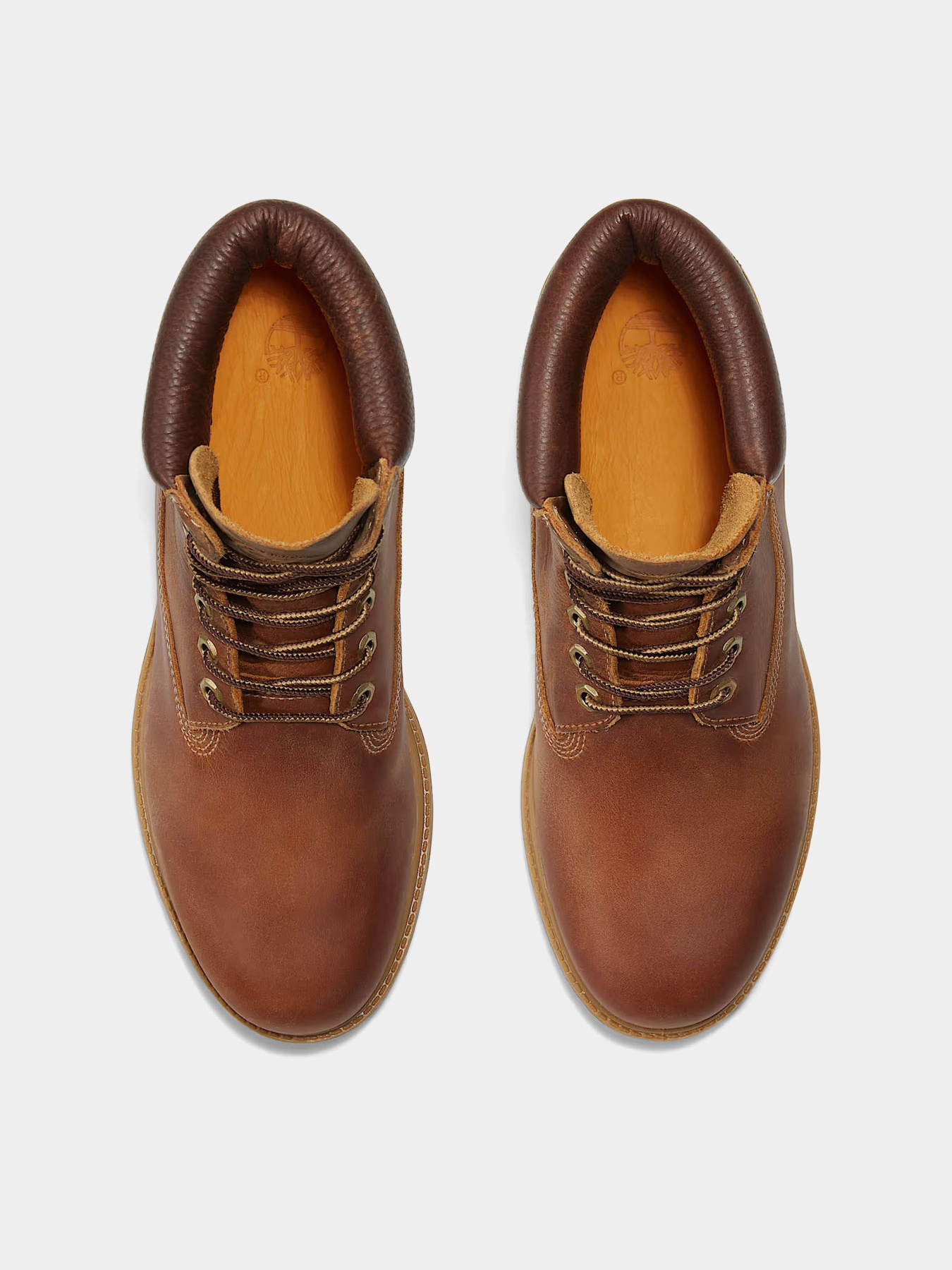 Черевики Timberland TIMBERLAND PREMIUM WATERPROOF модель TB127094214 Черевики Timberland TIMBERLAND PREMIUM WATERPROOF модель TB127094214 Фото