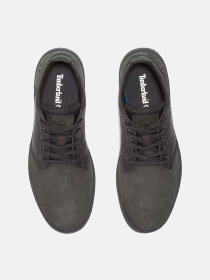 Ботинки Timberland Davis Square модель TB1A1T16001 Фото