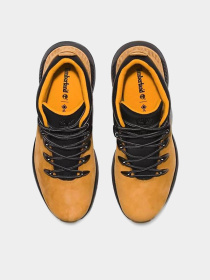 Ботинки Timberland SPRINT TREKKER WATERPROOF модель TB1A2QZE231 Фото