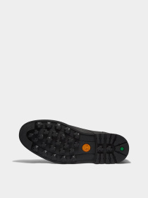 Ботинки Timberland Alden Brook Mid Lace-Up Waterproof модель TB1A3ZUS015 Фото