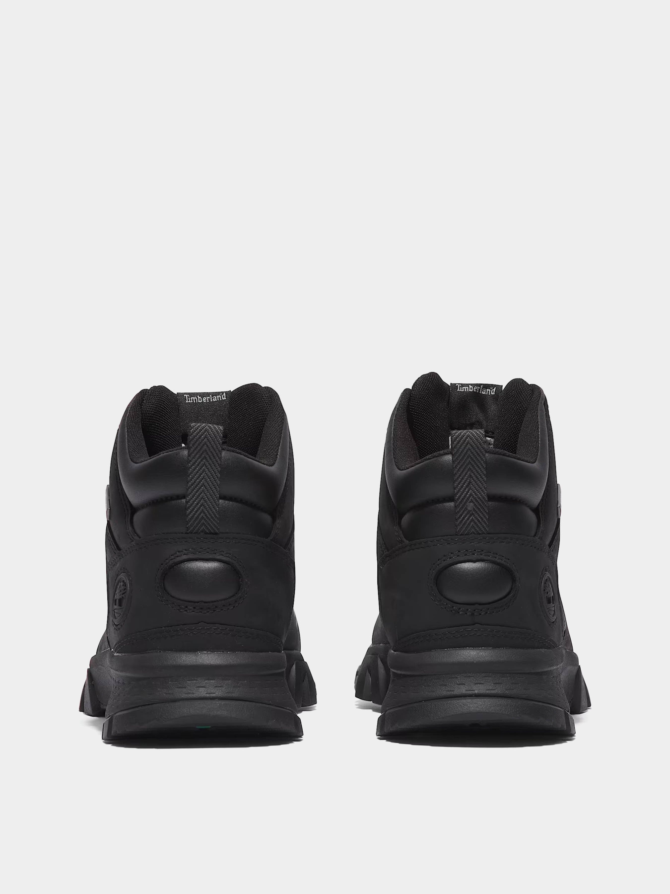 Ботинки Timberland Mt Lincoln Mid Lace-Up GORE-TEX модель TB1A61NM015 Фото