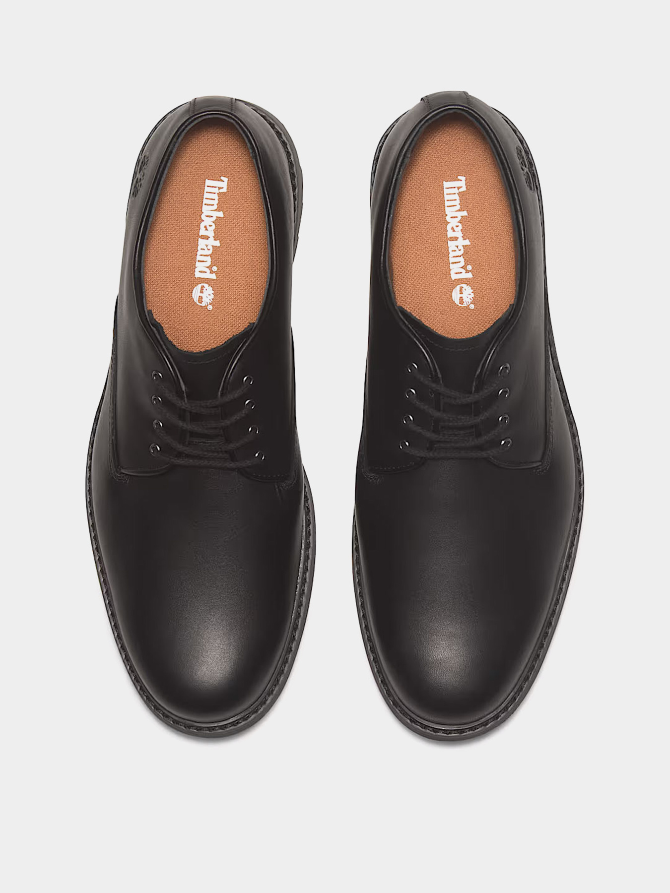 Туфли Timberland STORMBUCKS WATERPROOF модель TB15549R001 Фото