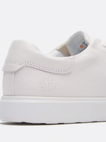 Кеди низькі Timberland Emerson Street Low Lace Up модель TB0A6CQQET7 Фото