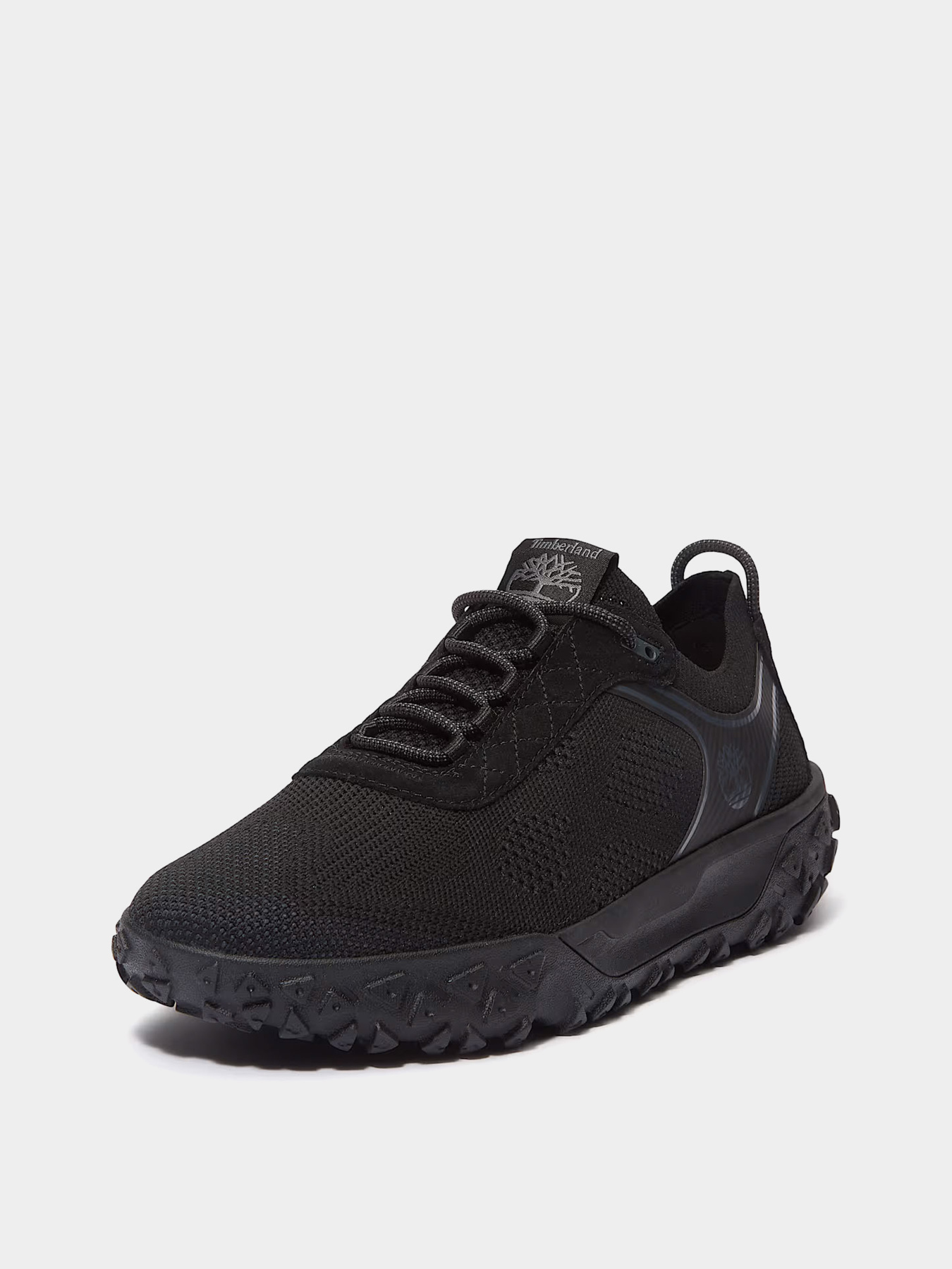 Кроссовки повседневные Timberland Greenstride Motion 6 Low Trainer модель TB0A6DHPEDG Фото