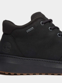 Ботинки Timberland HUDSON ROAD GTX модель TB0A6A8NW05 Фото