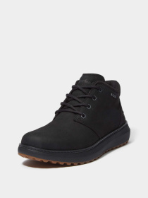 Ботинки Timberland HUDSON ROAD GTX модель TB0A6A8NW05 Фото