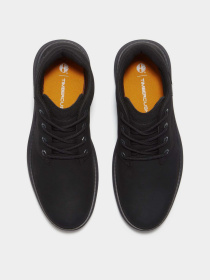 Ботинки Timberland HUDSON ROAD GTX модель TB0A6A8NW05 Фото