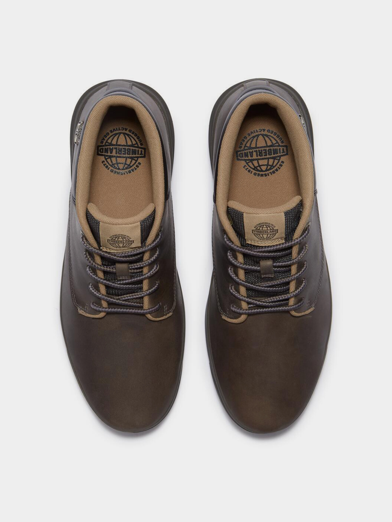 Черевики Timberland SENECA BAY модель TB0A69M1EL7 Фото