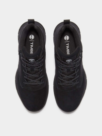 Кроссовки повседневные Timberland VOYAGER PARK модель TB0A6DP2EK4 Фото