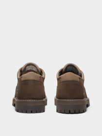 Туфли Timberland BRITTON ROAD WATERPROOF модель TB0A69T9W07 Фото