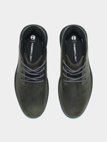 Ботинки Timberland HUDSON ROAD модель TB0A69Q5EIQ Фото