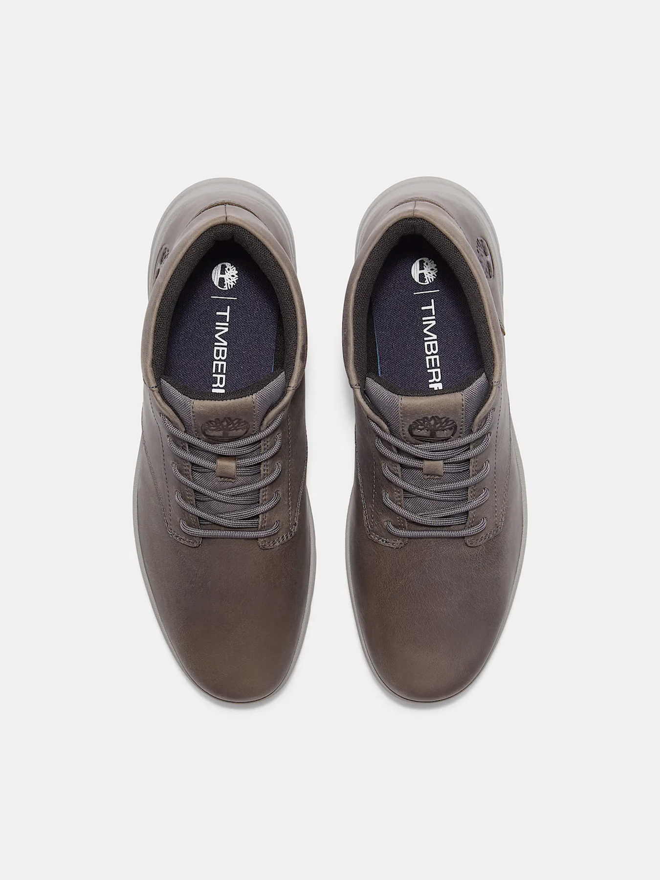 Черевики Timberland Модель TB0A6C7TEL7 Фото