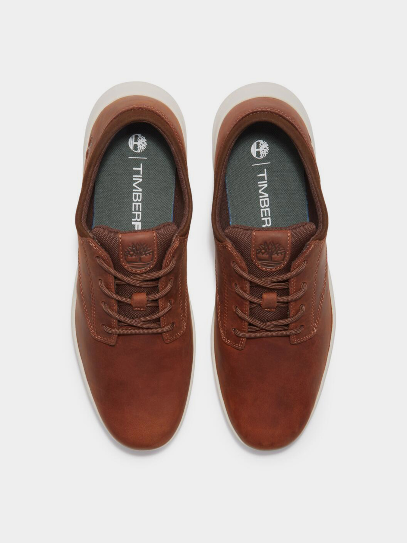 Кросівки повсякденні Timberland PARKER STREET модель TB0A6C8EEM6 Фото