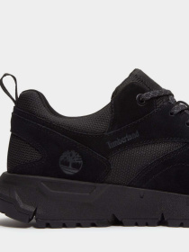 Кроссовки повседневные Timberland VOYAGER PARK модель TB0A6DTEEAE Фото