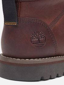 Ботинки Timberland LARCHMONT модель TB0A2NGCV13 Фото