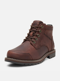 Ботинки Timberland LARCHMONT модель TB0A2NGCV13 Фото