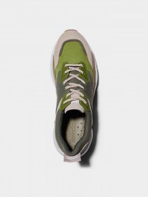 Кроссовки Timberland Delphiville модель TB0A24EN269 Фото