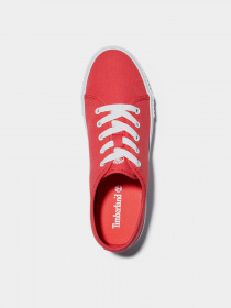 Кеды низкие Timberland Skyla Bay модель TB0A2GUA801 Фото