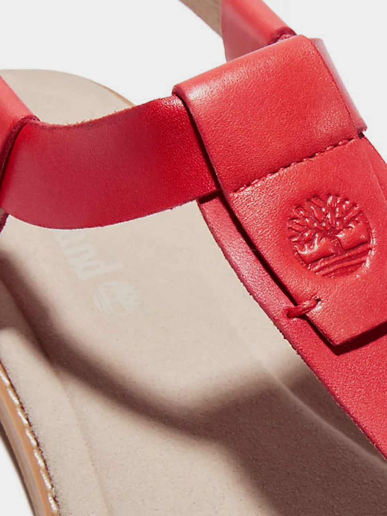 Сандалии Timberland Chicago Riverside модель TB0A23UF801 Фото