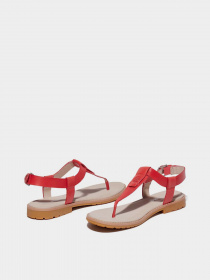 Сандалии Timberland Chicago Riverside модель TB0A23UF801 Фото