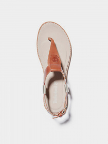 Сандалии Timberland Chicago Riverside модель TB0A23U6F13 Фото