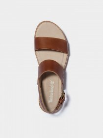 Сандалии Timberland Chicago Riverside модель TB0A23VZF13 Фото