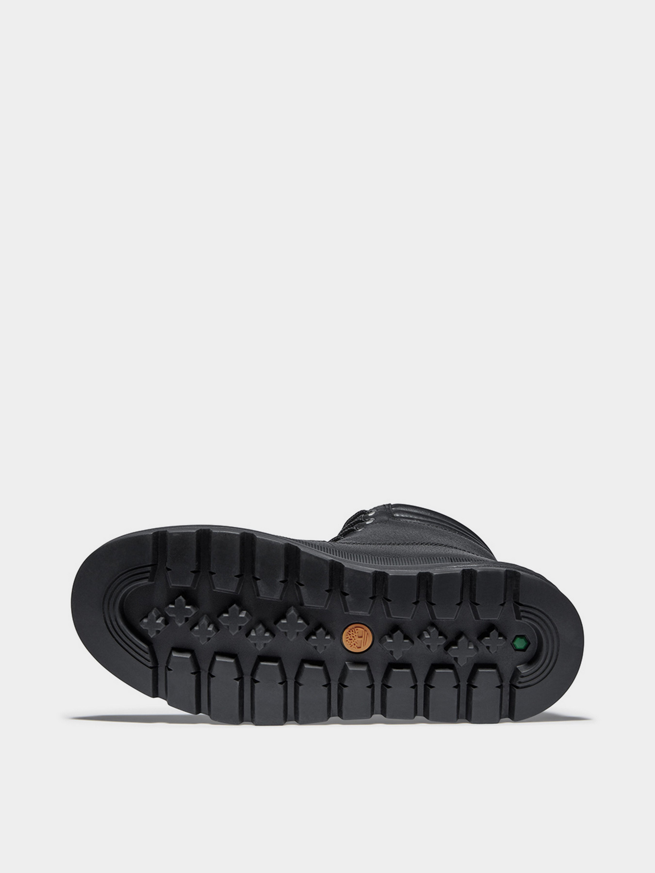 Ботинки Timberland Greenstride™ Ray City Waterproof модель TB0A2JNY015 Фото