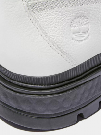 Ботинки Timberland Greenstride™ Ray City модель TB0A2JQH100 Фото