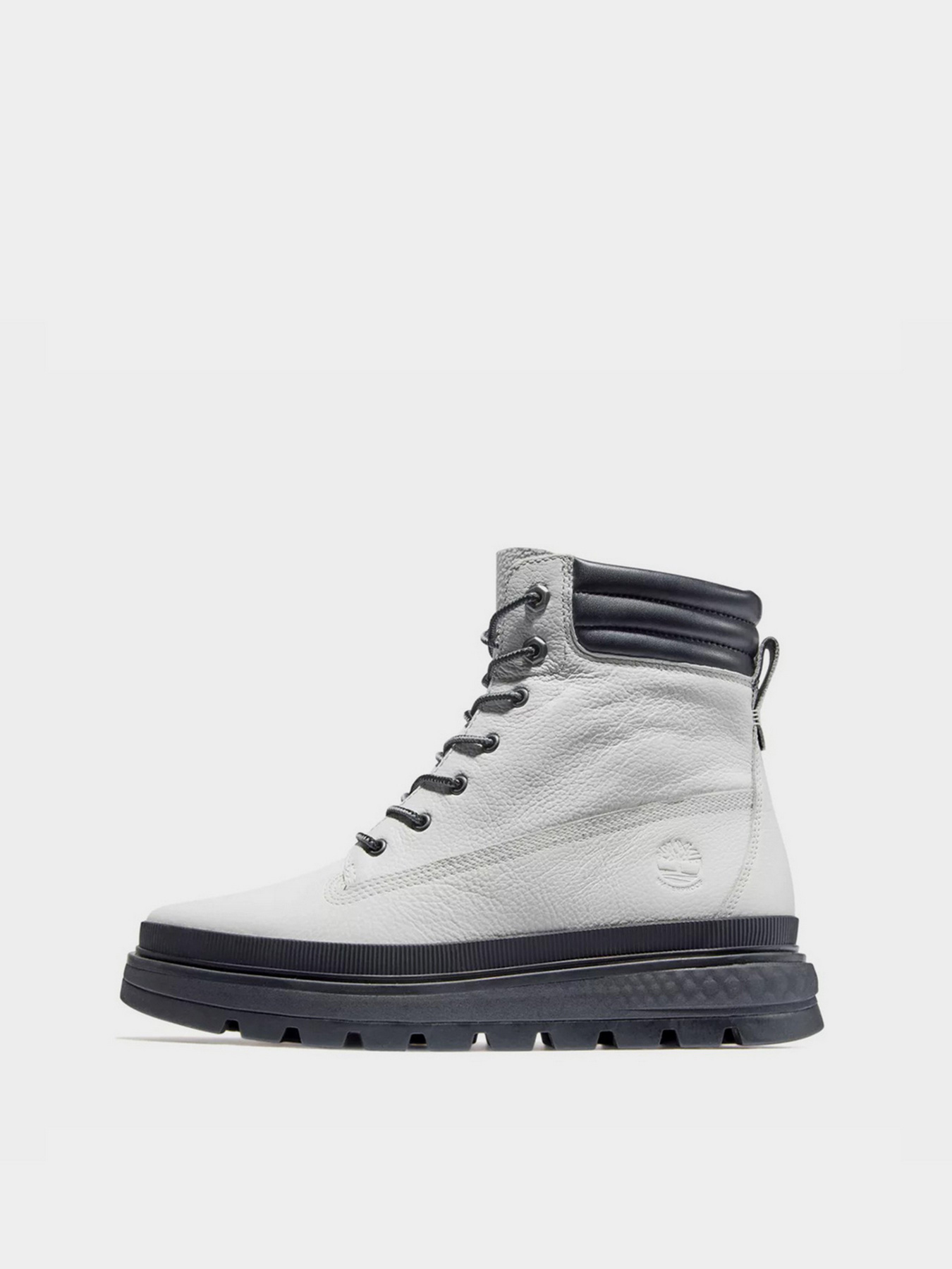 Ботинки Timberland Greenstride™ Ray City модель TB0A2JQH100 Фото