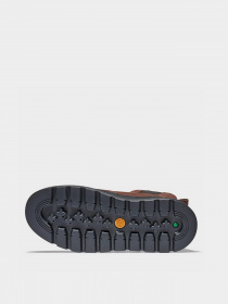 Ботинки и сапоги Timberland Greenstride™ Ray City модель TB0A2JS2V13 Фото