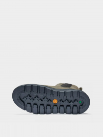 Челси Timberland Greenstride™ модель TB0A2JPJ901 Фото