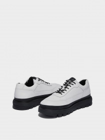 Кросівки повсякденні Timberland Ray City Oxford модель TB0A2KGM100 Фото