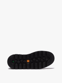 Ботинки Timberland Greenstride™ Ray City Waterproof модель TB0A2KDS901 Фото