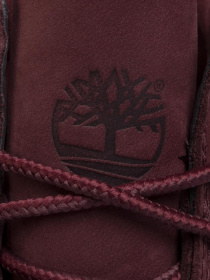 Ботинки Timberland Waterville модель TB0A1R2TC60 Фото