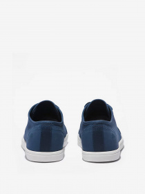 Кеды низкие Timberland Dausette Canvas Oxford модель TB0A2QME288 Фото