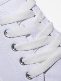 Кеды низкие Timberland Dausette Canvas Oxford модель TB0A2EWXL77 Фото