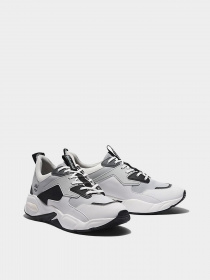 Кроссовки Timberland Delphiville модель TB0A2P7RX21 Фото