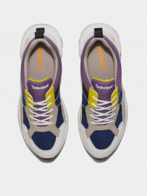 Кроссовки Timberland Delphiville модель TB0A5S6WX77 Фото