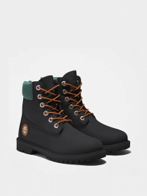 Ботинки Timberland Heritage 6-INCH модель TB0A5M8C015 Фото