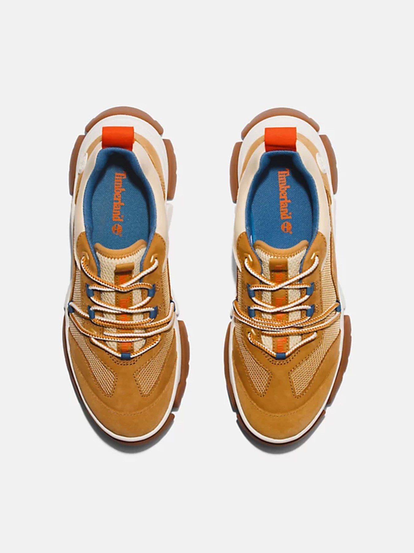 Кросівки повсякденні Timberland Adley Way модель TB0A5UV4231 Фото