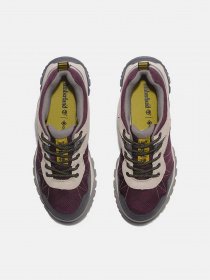 Кроссовки Timberland Lincoln Peak модель TB0A5PSF506 Фото