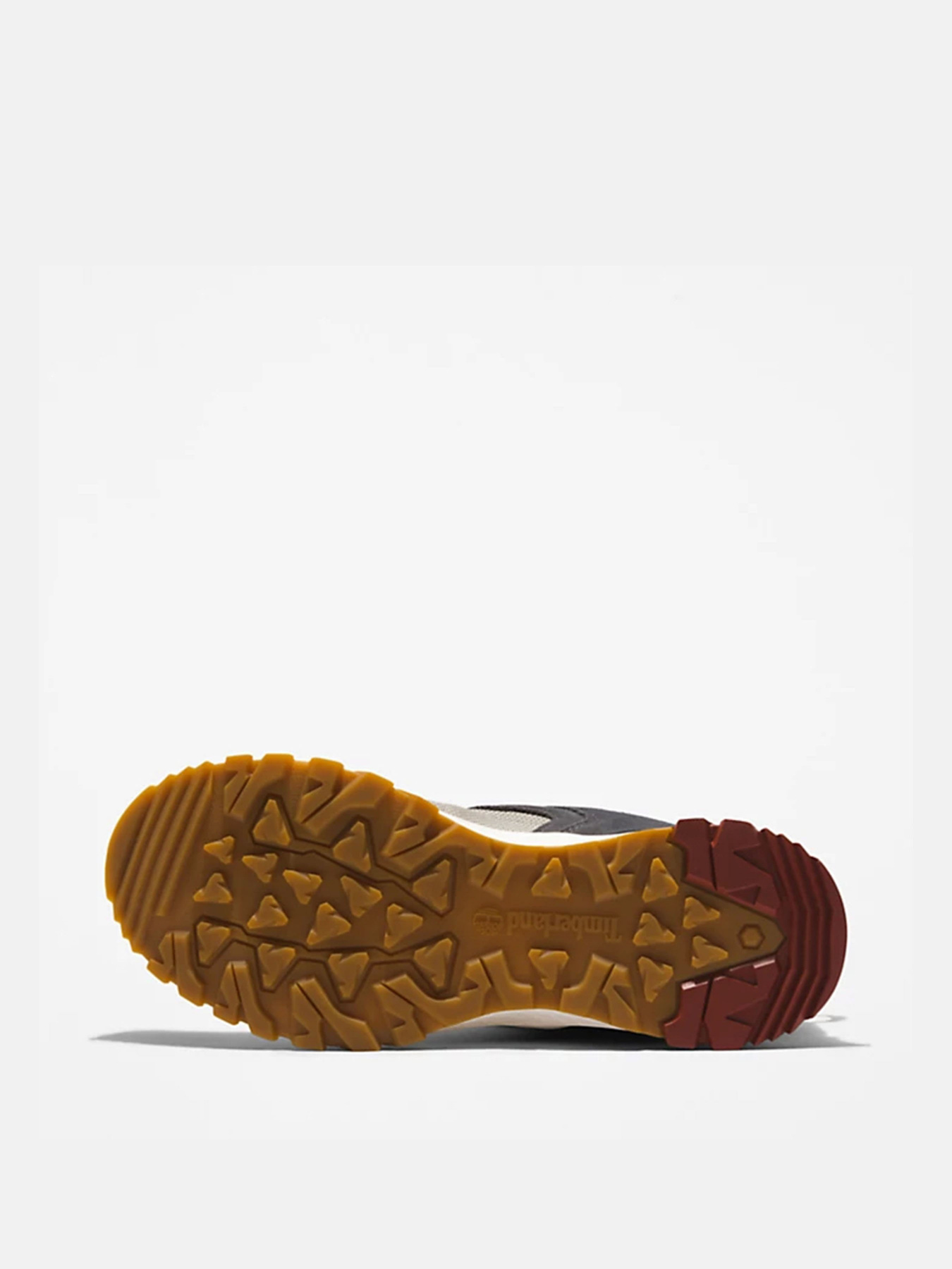 Кросівки Timberland Lincoln Peak модель TB0A5PT3110 Фото