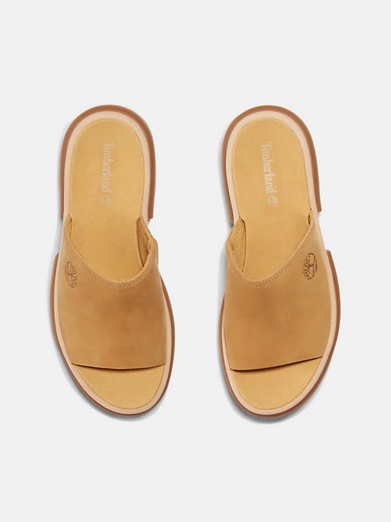 Шльопанці Timberland Everleigh модель TB0A5UEZ231 Фото