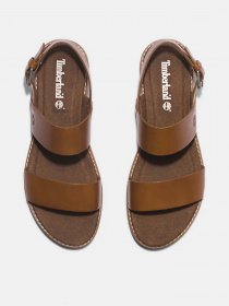 Сандалии Timberland Chicago Riverside модель TB0A5YYZF13 Фото