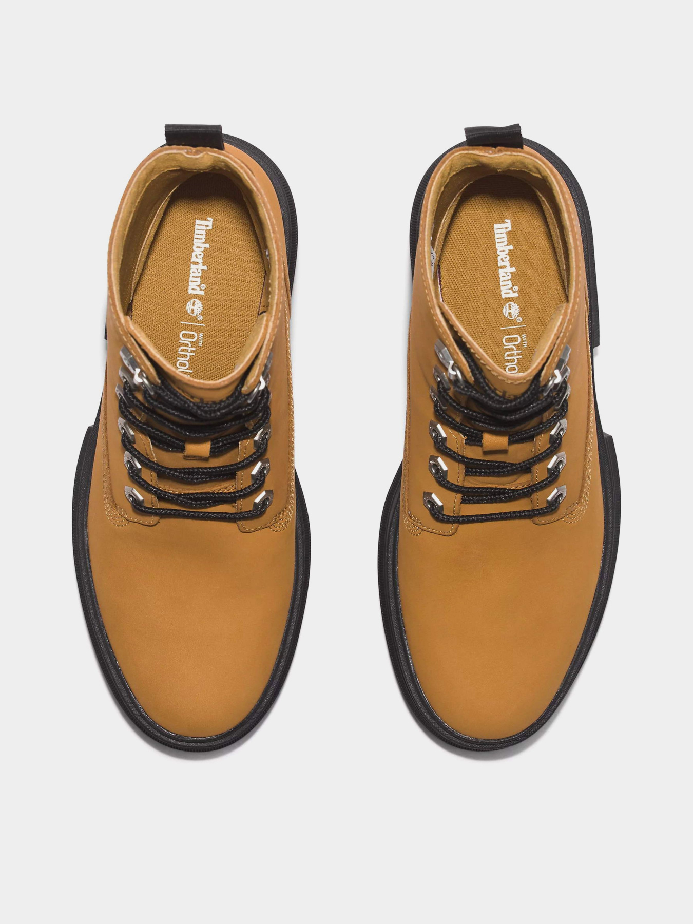 Ботинки Timberland Everleigh 6 Inch модель TB0A41QK231 Фото