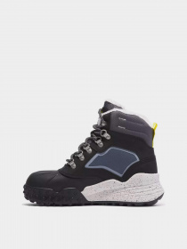Ботинки Timberland Moriah Range Waterproof Insulated Hiker модель TB0A63E6015 Фото