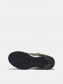 Черевики Timberland Lincoln Peak модель TB0A643R991 Фото