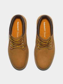 Ботинки Timberland Stone Street Premium модель TB0A5RF9231 Фото